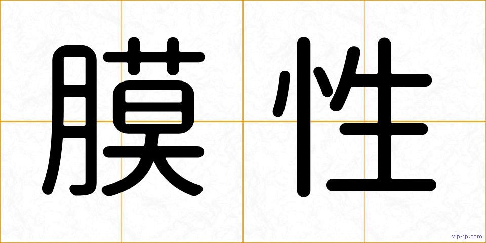 膜性の画像