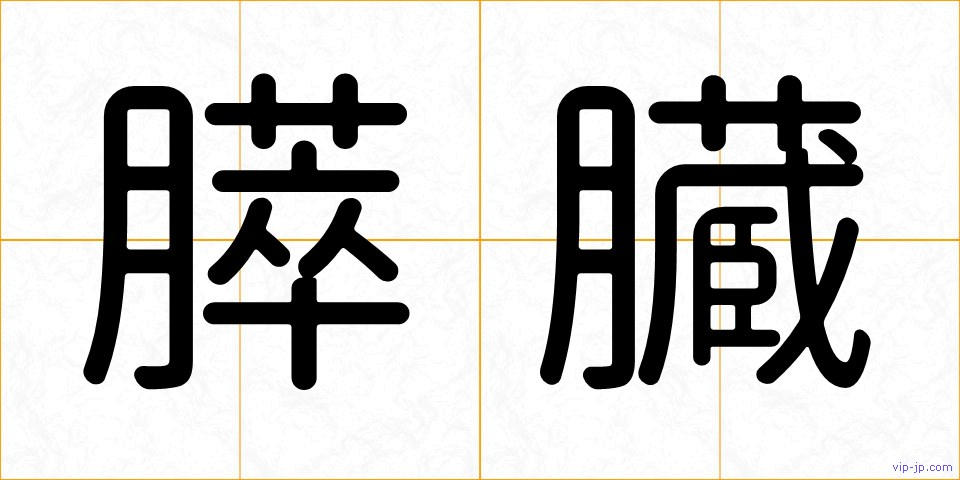 膵臓の画像