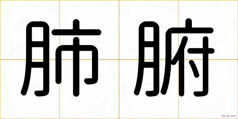 肺腑の画像