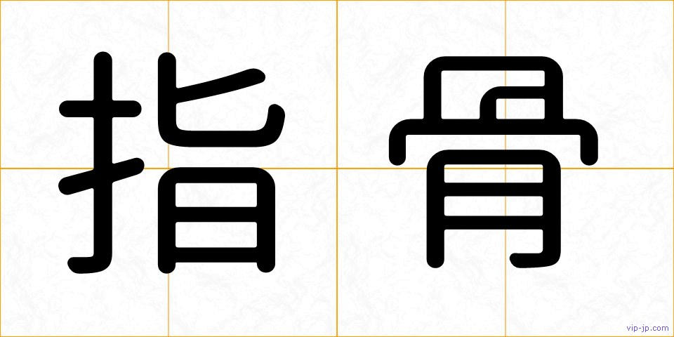 指骨の画像