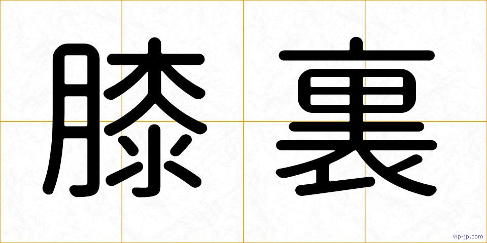 膝裏の画像