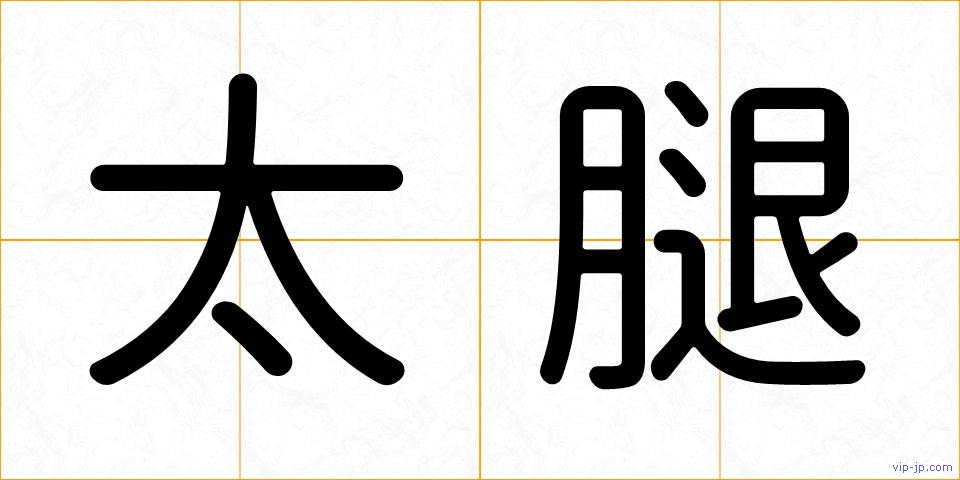 太腿の画像