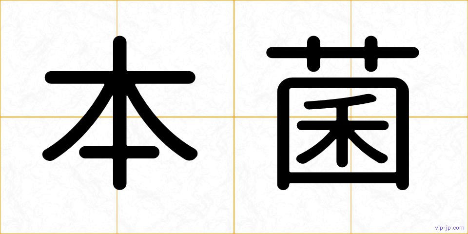 本菌の画像