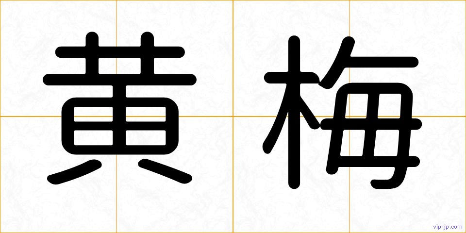 黄梅の画像
