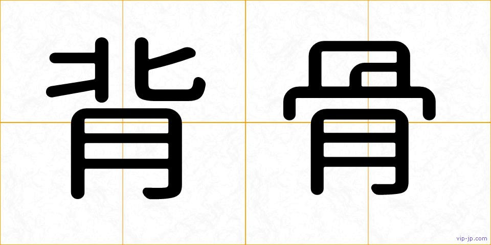 背骨の画像