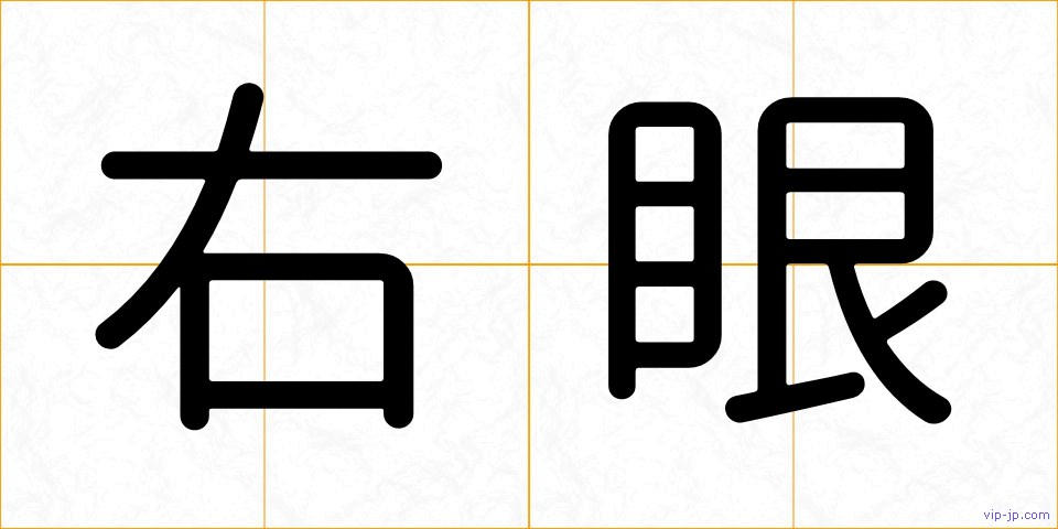 右眼の画像