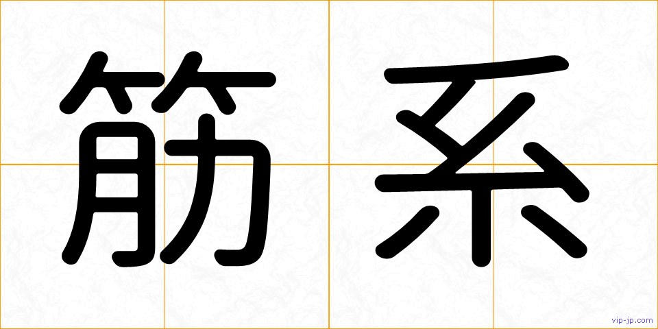 筋系の画像