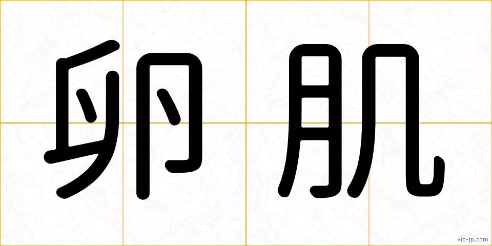 卵肌の画像
