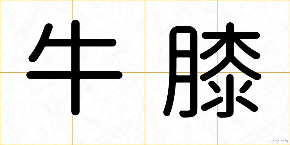 牛膝の画像