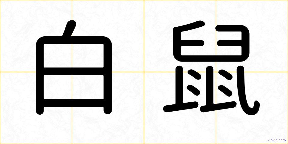 白鼠の画像