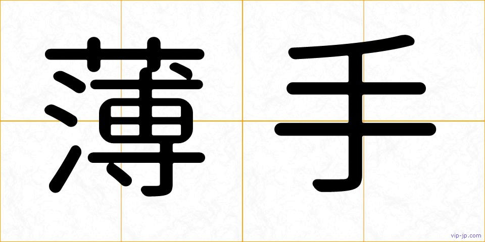 薄手の画像