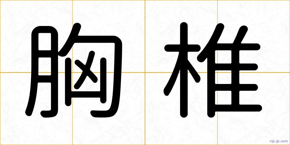 胸椎の画像