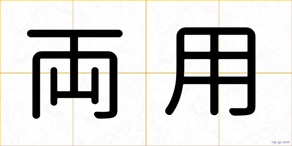 両用の画像