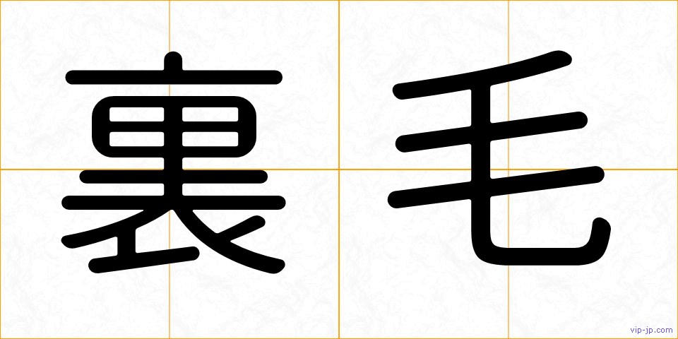 裏毛の画像