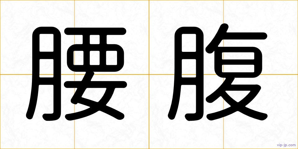 腰腹の画像