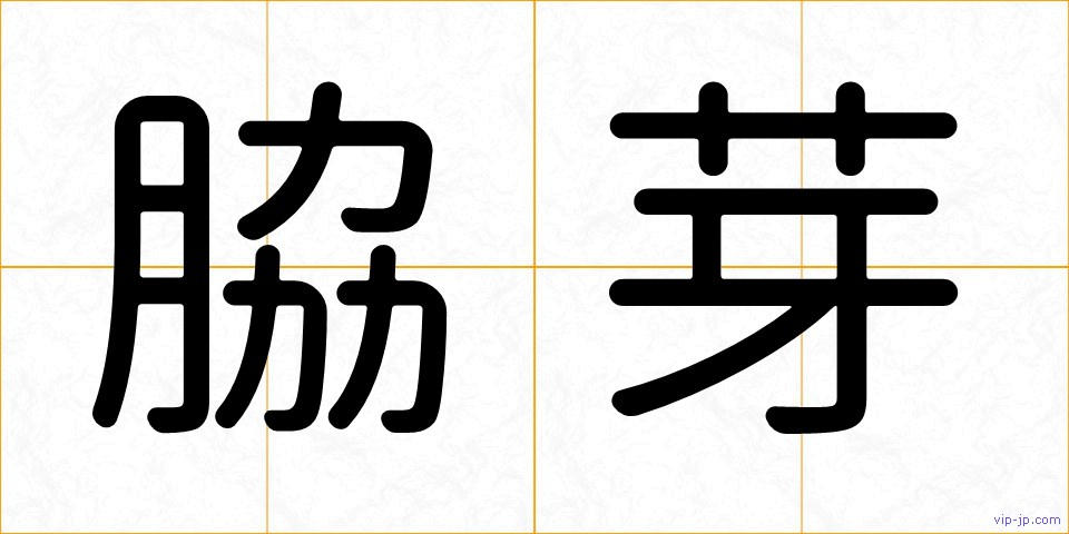 脇芽の画像
