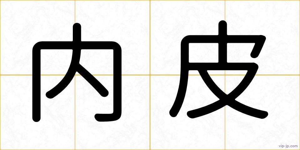 内皮の画像