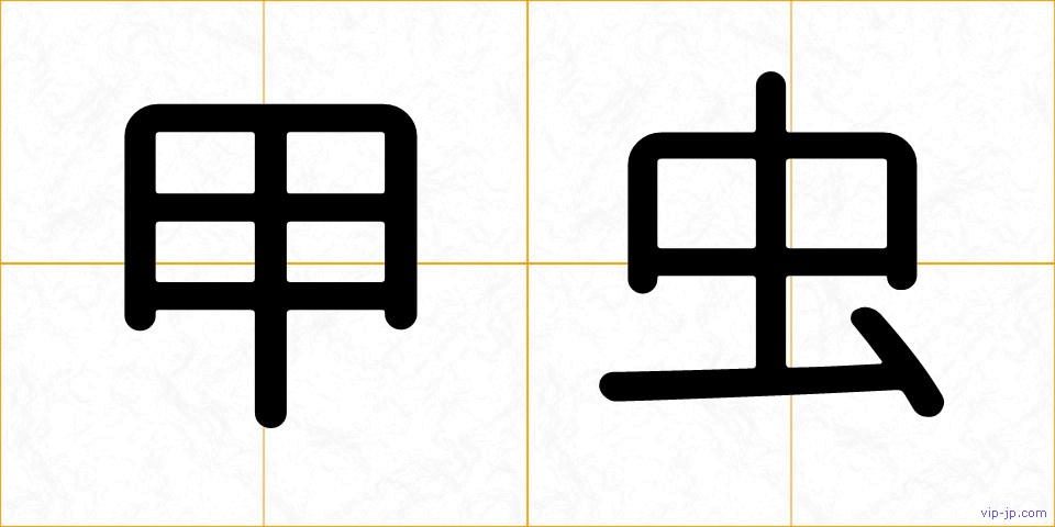 甲虫の画像