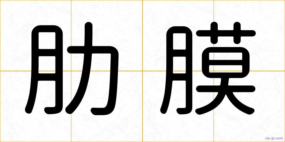 肋膜の画像