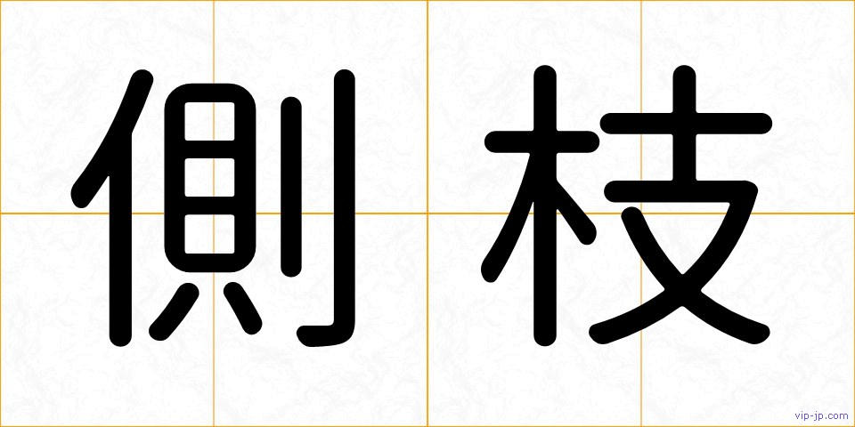 側枝の画像