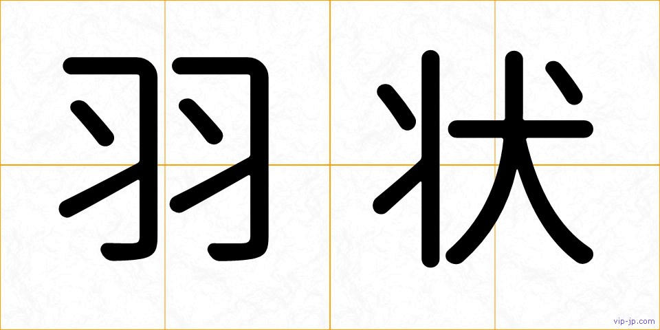 羽状の画像