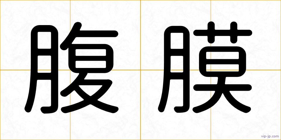 腹膜の画像