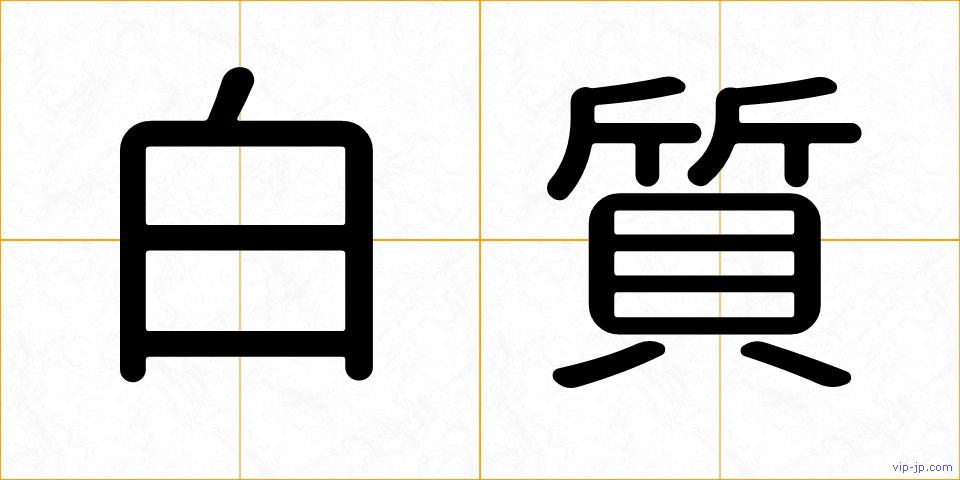 白質の画像