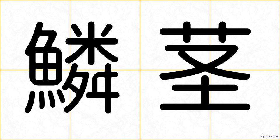 鱗茎の画像