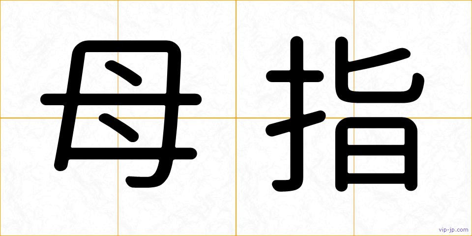 母指の画像