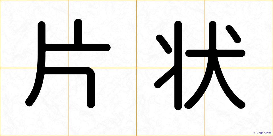 片状の画像