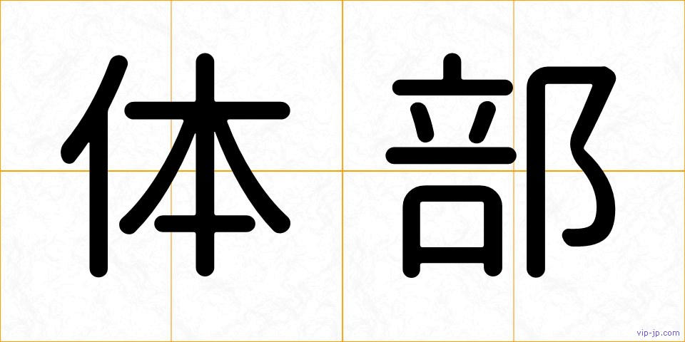体部の画像