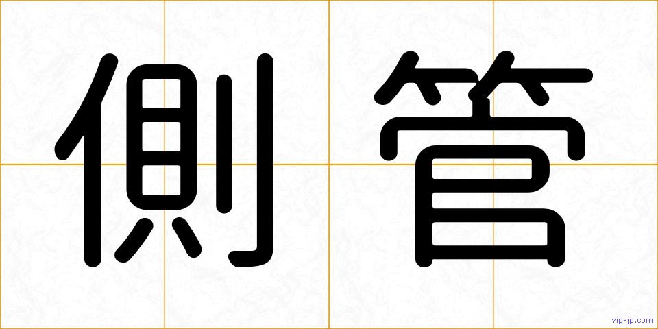 側管の画像