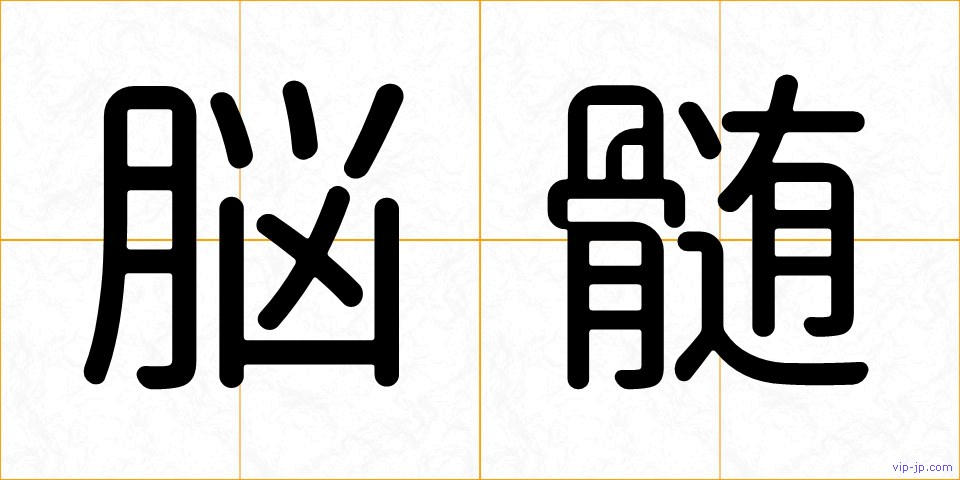 脳髄の画像