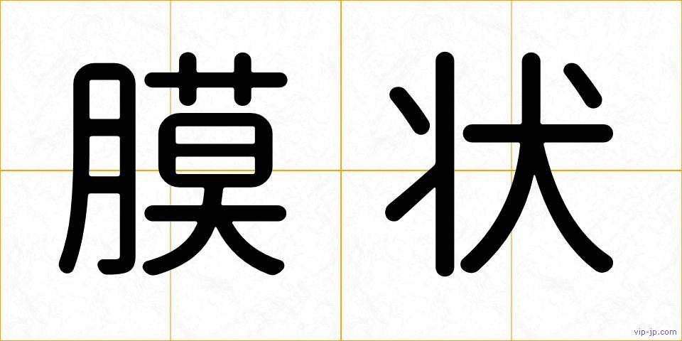 膜状の画像