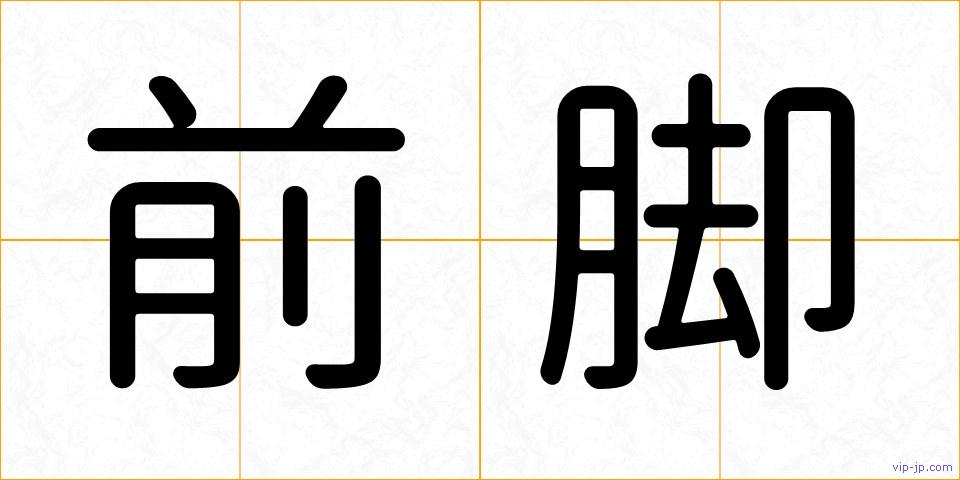 前脚の画像