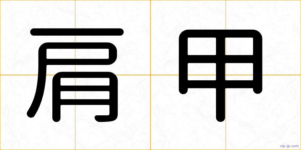 肩甲の画像