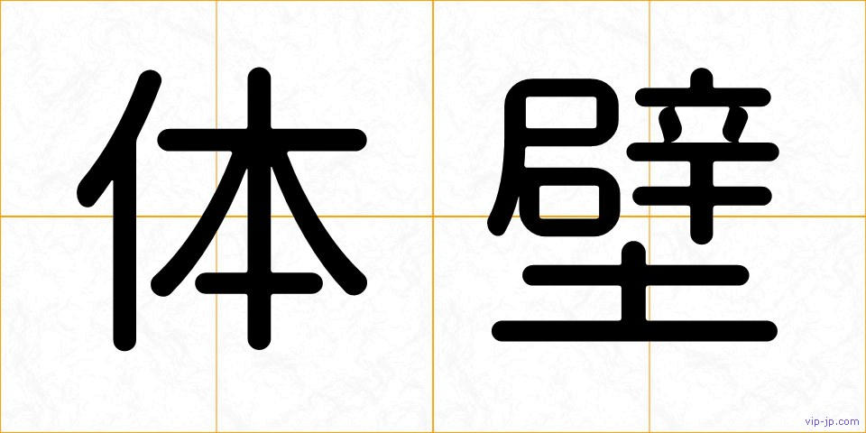 体壁の画像