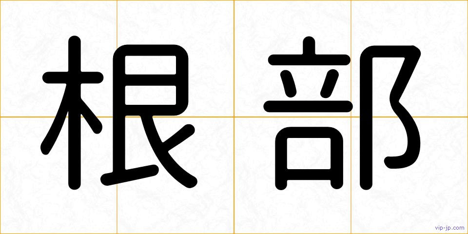 根部の画像