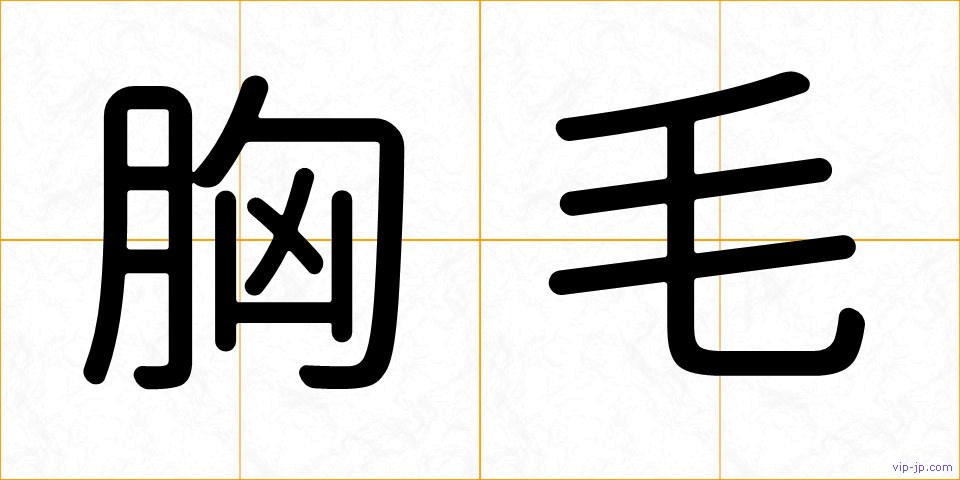 胸毛の画像