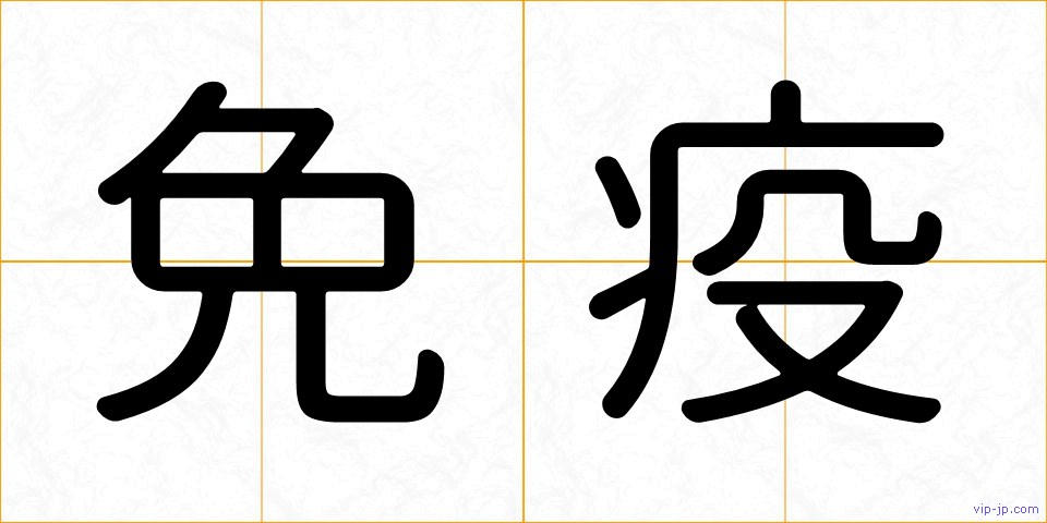 免疫の画像