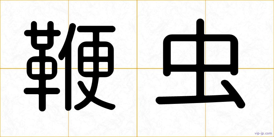 鞭虫の画像