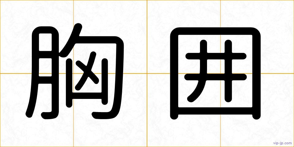 胸囲の画像