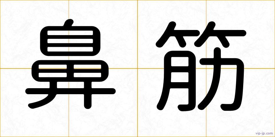 鼻筋の画像