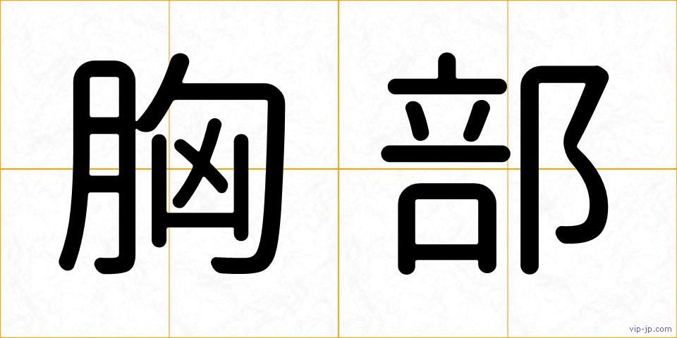 胸部の画像
