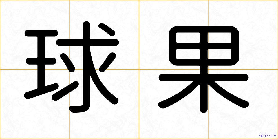 球果の画像