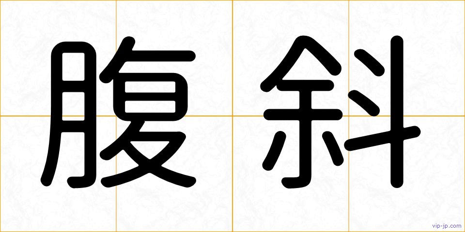 腹斜の画像