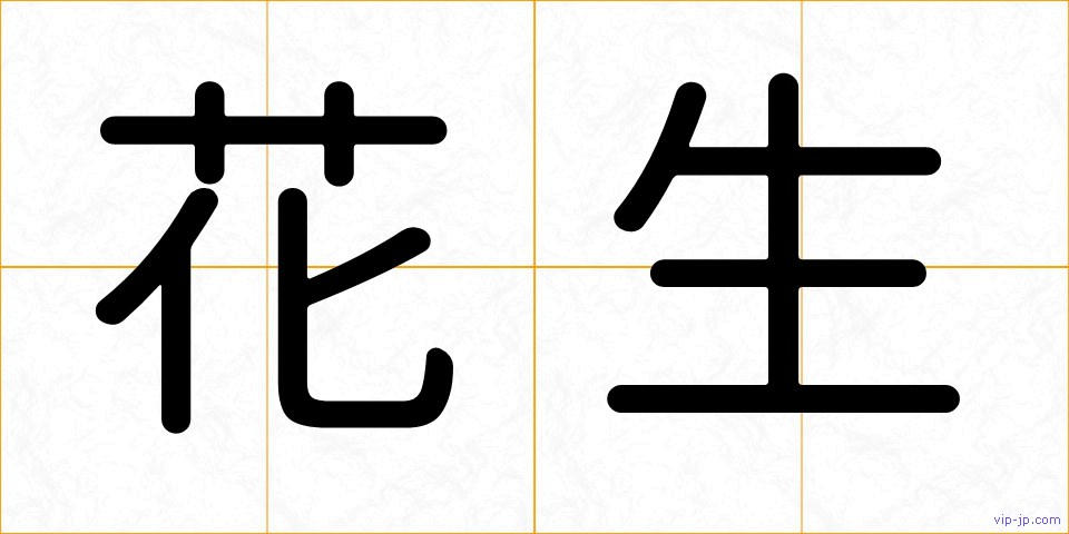 花生の画像