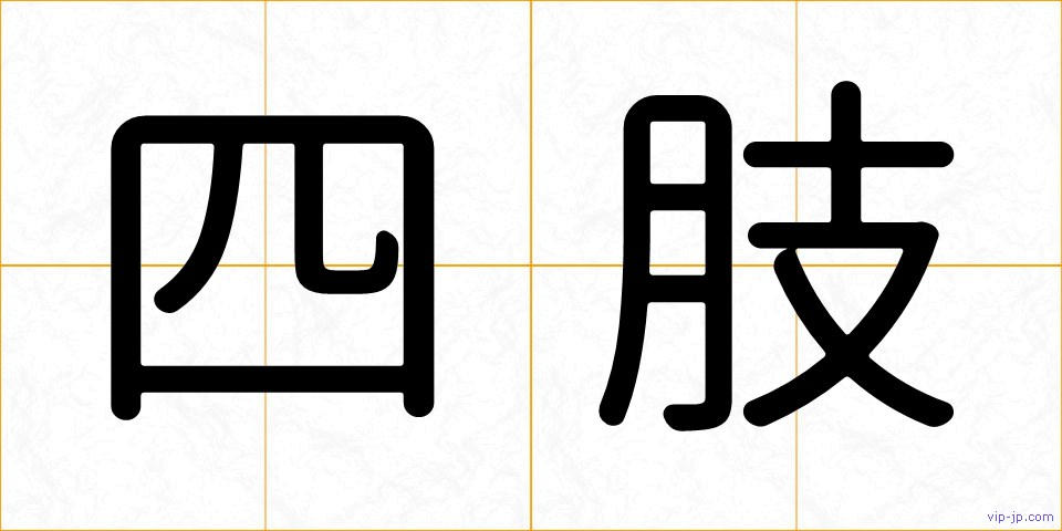 四肢の画像