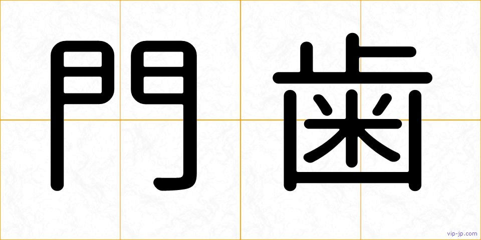 門歯の画像