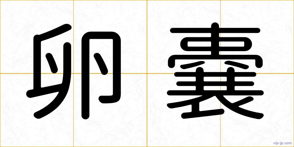 卵嚢の画像